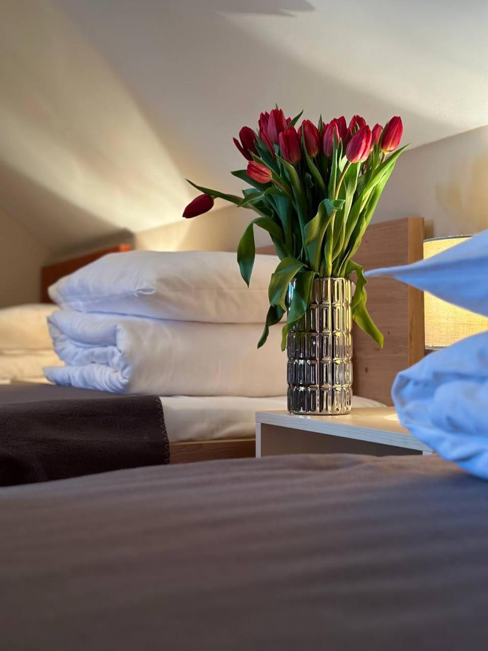 Hotel Marislav Cesnovice Εξωτερικό φωτογραφία